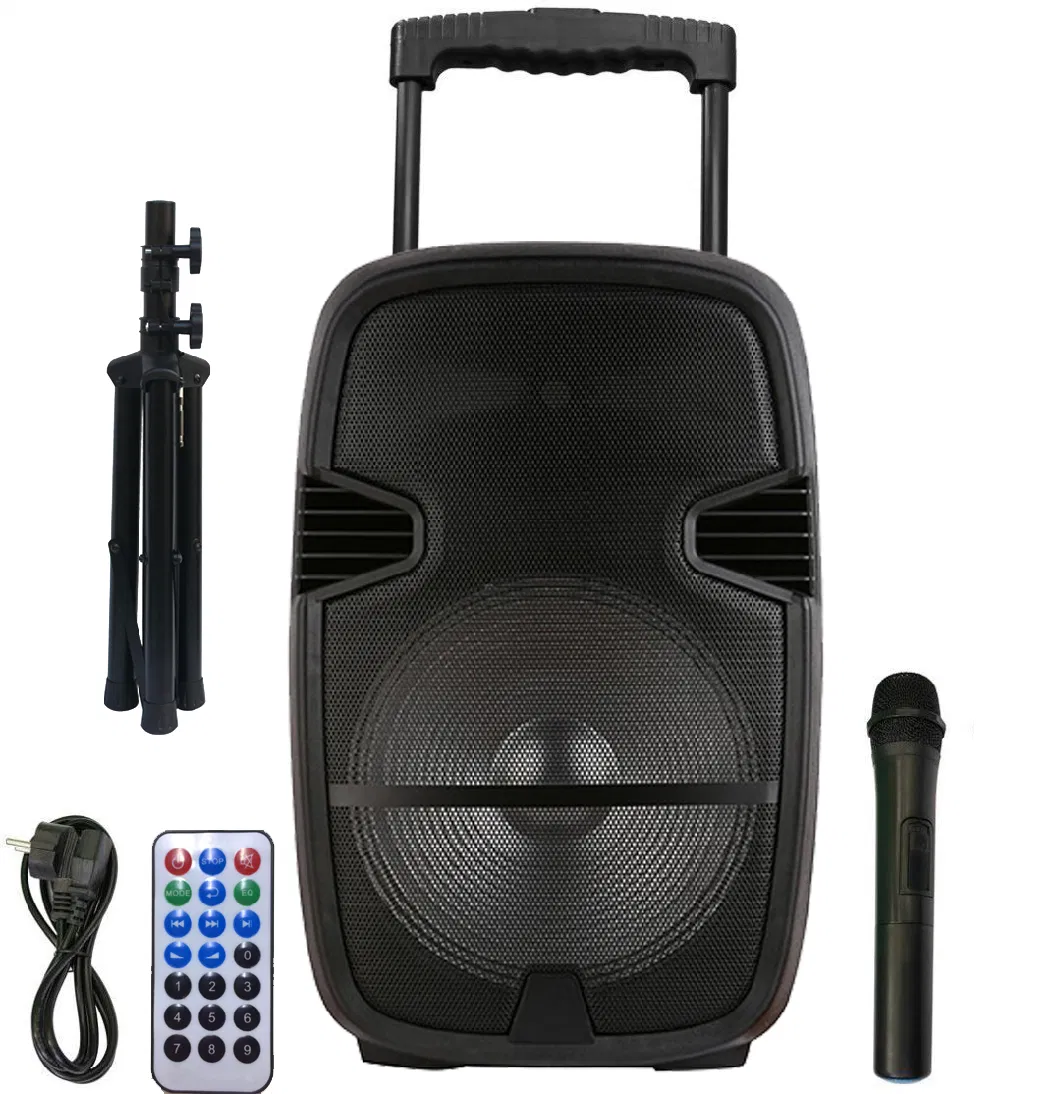 Tws Plastic 15inch Karaoke Sound Box for Outdoor/Indoor