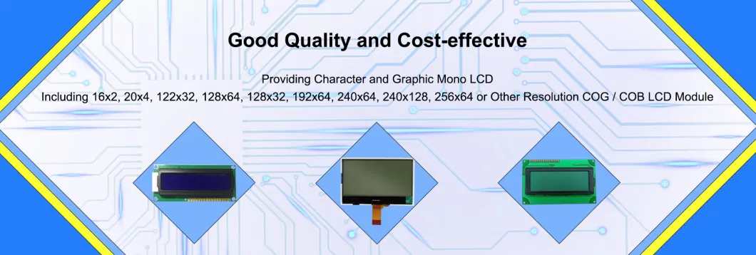 4.05inch 192X64dots Mono Graphic LCD Display COB LCD Module